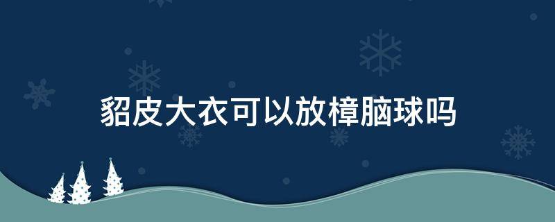 貂皮大衣可以放樟脑球吗（貂皮可不可以放樟脑球）