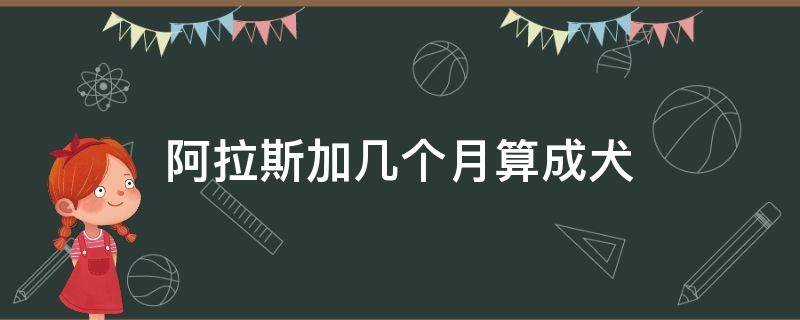 阿拉斯加几个月算成犬 阿拉斯加几个月算是成犬