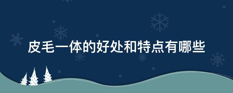 皮毛一体的好处和特点有哪些 复合皮毛一体和皮毛一体的区别优点