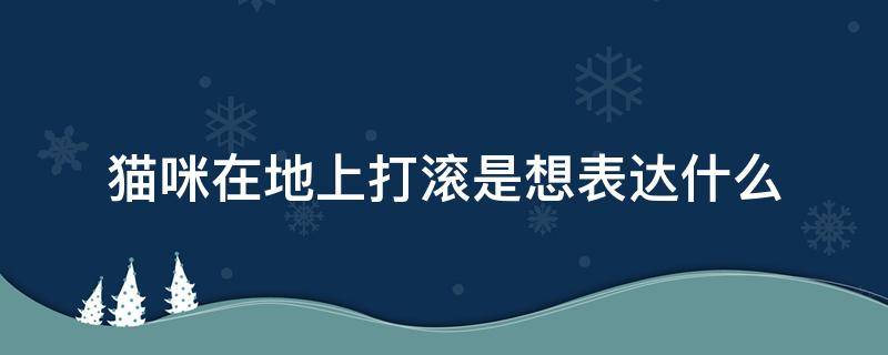 猫咪在地上打滚是想表达什么 猫喜欢在地上打滚是怎么回事