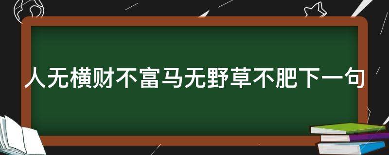 人无横财不富马无野草不肥下一句 人无横财不富 马无夜草不肥的意思