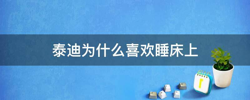 泰迪为什么喜欢睡床上 泰迪老是喜欢睡床底是因为什么原因