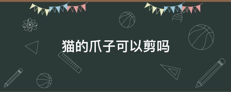 猫的爪子可以剪吗 猫的爪子需要剪吗