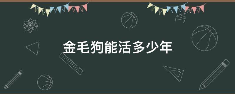 金毛狗能活多少年 金毛狗可以活多少年