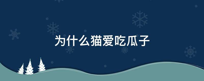 为什么猫爱吃瓜子 我家猫为什么爱吃瓜子