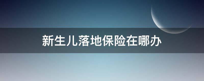 新生儿落地保险在哪办 新生儿落地险到哪个单位办?