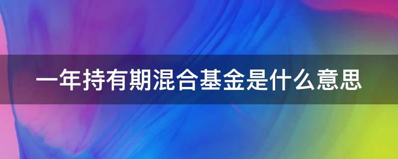 一年持有期混合基金是什么意思（一年持有混合型基金是什么意思）