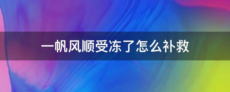 一帆风顺受冻了怎么补救 一帆风顺受冻了怎么办