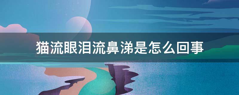 猫流眼泪流鼻涕是怎么回事 猫一直流眼泪流鼻涕是怎么回事