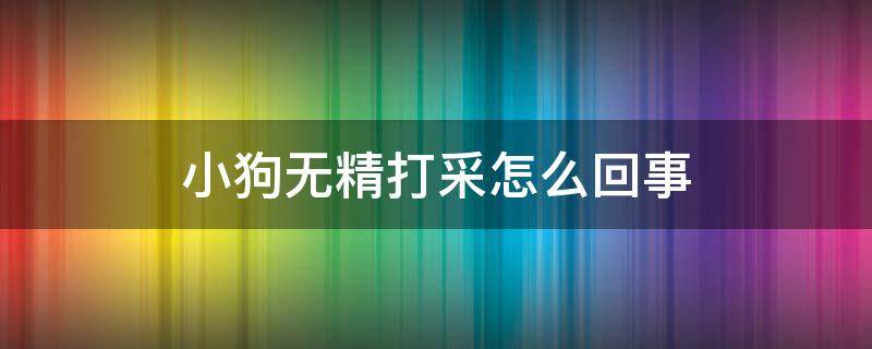 小狗无精打采怎么回事（狗狗无精打采是什么情况）