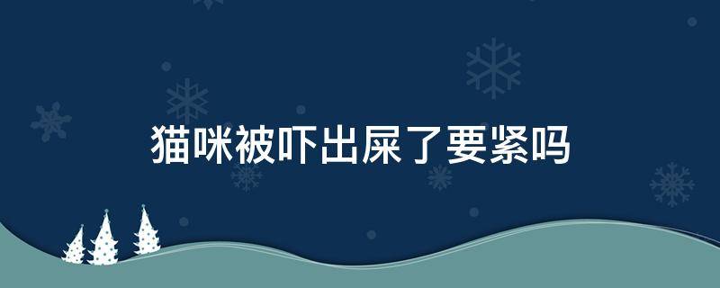 猫咪被吓出屎了要紧吗 猫咪被吓到拉屎