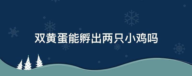 双黄蛋能孵出两只小鸡吗（双黄蛋能孵出两只小鸡吗 知乎）