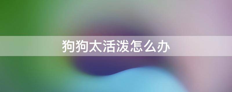 狗狗太活泼怎么办 狗狗太活泼了怎么办