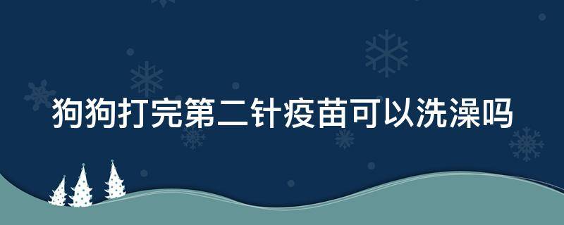 狗狗打完第二针疫苗可以洗澡吗 狗狗打完第二针疫苗可以洗澡吗有影响吗