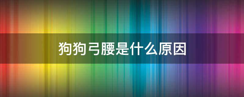 狗狗弓腰是什么原因 小狗弓腰是什么原因