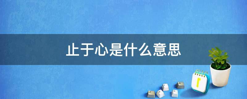 止于心是什么意思（不止于行,不止于心是什么意思）