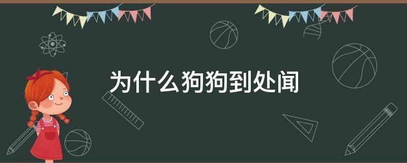 为什么狗狗到处闻（狗狗到处闻是什么原因）