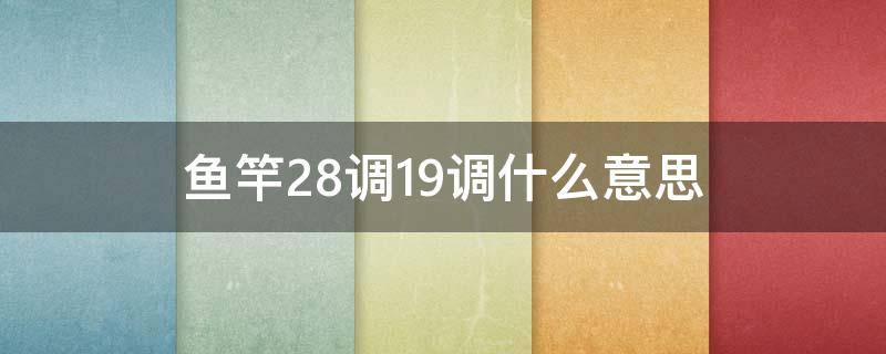 鱼竿28调19调什么意思（鱼竿19调跟28调是什么意思）