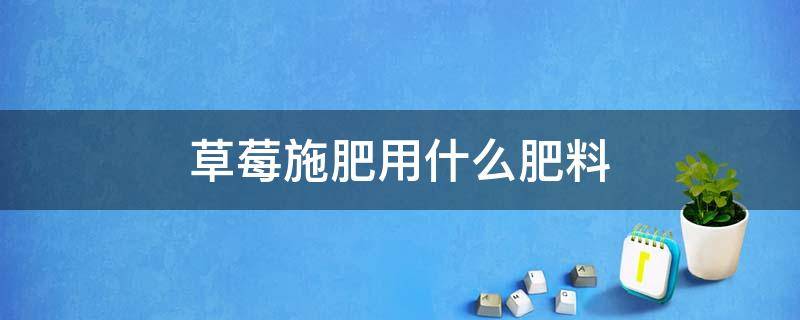 草莓施肥用什么肥料（草莓施肥用什么肥料方便）