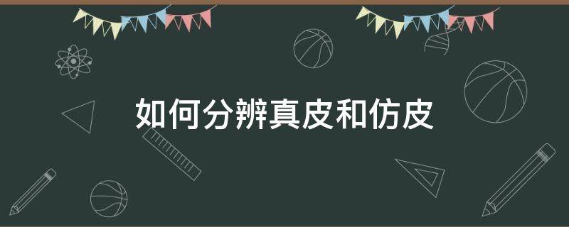 如何分辨真皮和仿皮（区分真皮和仿造皮的方法有哪些）