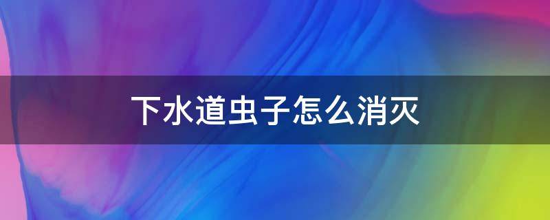 下水道虫子怎么消灭 下水道虫子怎么办