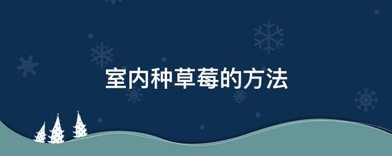 室内种草莓的方法（室内草莓盆栽种植方法）