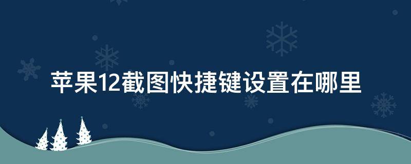 苹果12截图快捷键设置在哪里（苹果12的截屏快捷键在哪里设置）