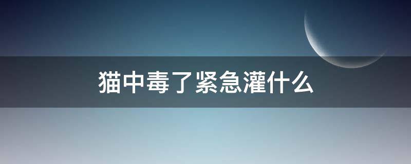 猫中毒了紧急灌什么（猫咪中毒喂什么）