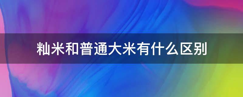 籼米和普通大米有什么区别（籼米跟普通大米有什么区别）