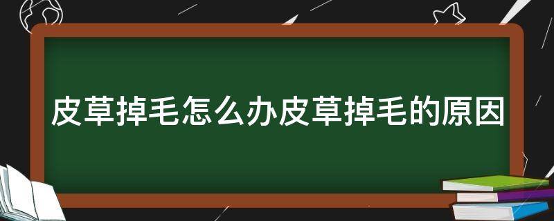 皮草掉毛怎么办皮草掉毛的原因（皮草掉毛正常么）