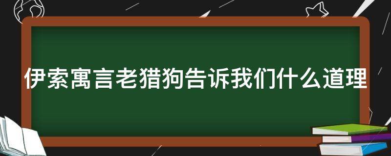 伊索寓言老猎狗告诉我们什么道理 伊索寓言老猎狗告诉我们什么道理和启示