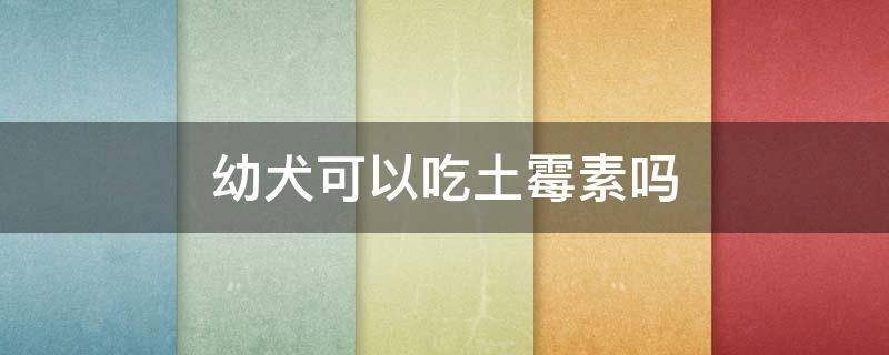 幼犬可以吃土霉素吗 幼狗可以吃土霉素吗