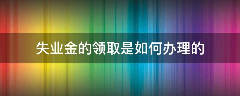 失业金的领取是如何办理的（怎么办理领取失业金）