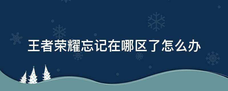 王者荣耀忘记在哪区了怎么办 王者荣耀忘记在哪区了怎么办QQ