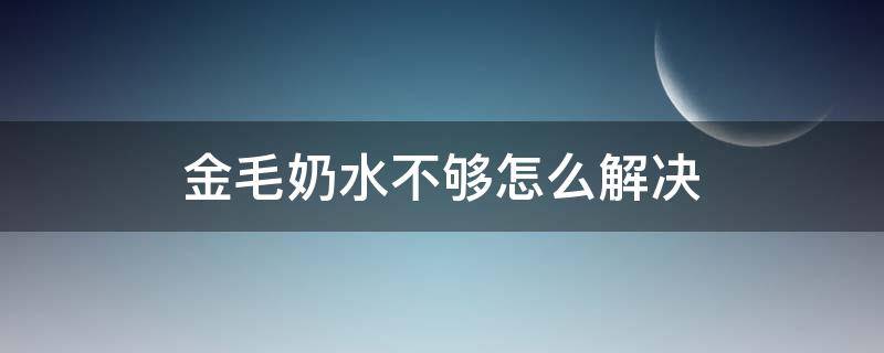 金毛奶水不够怎么解决（刚下的金毛不吃奶怎么办）