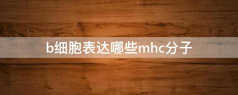 b细胞表达哪些mhc分子（mhc二类分子表达于哪种细胞）