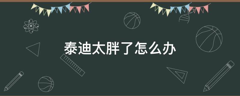 泰迪太胖了怎么办 泰迪太胖了怎么办?怎么解决泰迪肥胖?