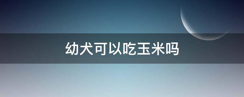 幼犬可以吃玉米吗 两个月幼犬可以吃玉米吗