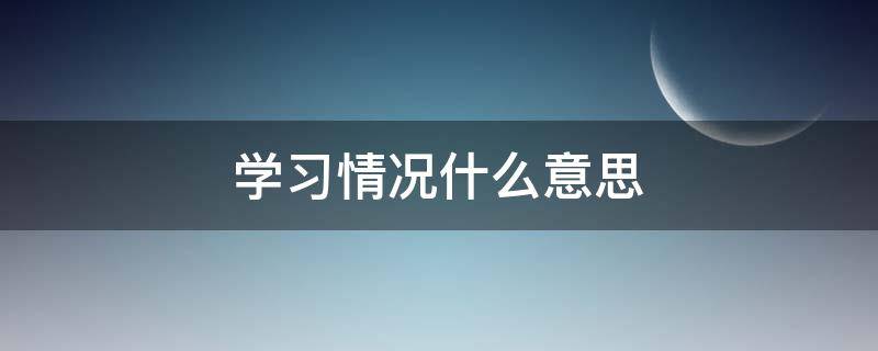 学习情况什么意思