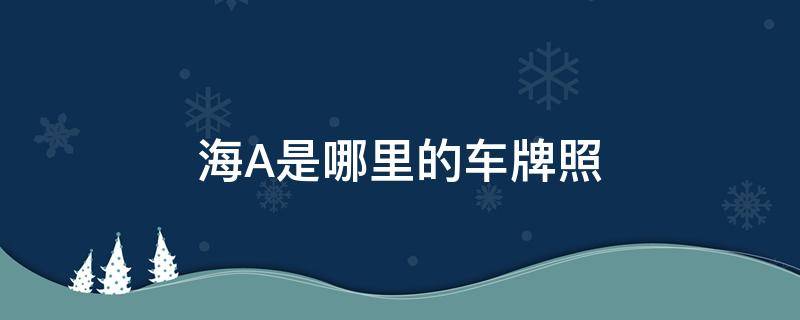 海A是哪里的车牌照（海a是什么地方的车牌号）