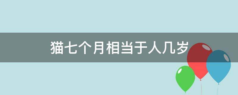 猫七个月相当于人几岁（猫七个月相当于人的多少岁）