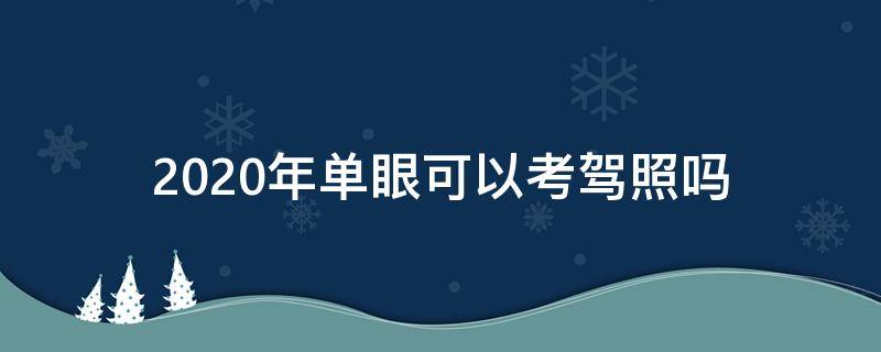 2020年单眼可以考驾照吗 2020年单眼人士可以考驾照吗