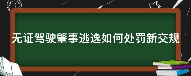 无证驾驶肇事逃逸如何处罚新交规（无证驾驶肇事逃逸如何处罚新交规的车辆）