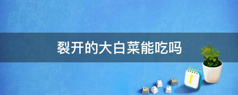 裂开的大白菜能吃吗 圆白菜裂开还能吃吗