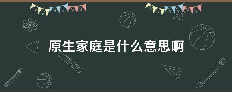 原生家庭是什么意思啊（原生家庭是什么意思思）