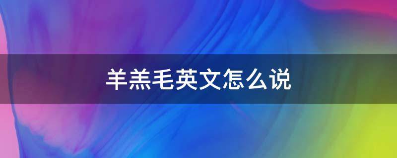 羊羔毛英文怎么说 羔羊用英文怎么说