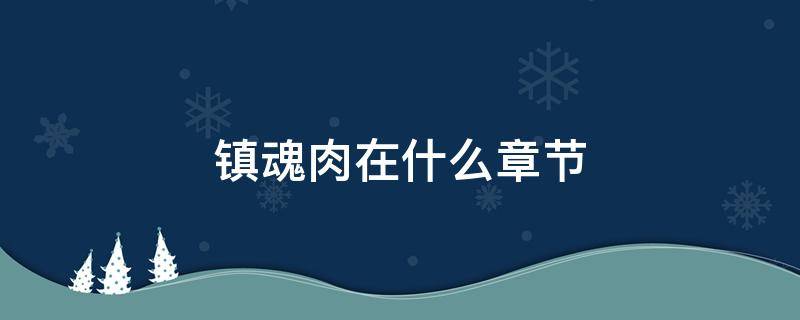 镇魂肉在什么章节 镇魂的肉在哪一张