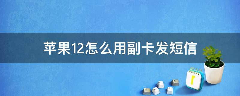 苹果12怎么用副卡发短信（苹果12怎么用副卡发短信给10086）