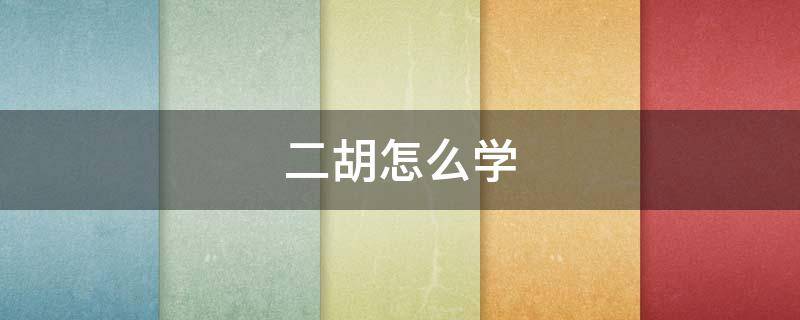 二胡怎么学 怎么样学二胡