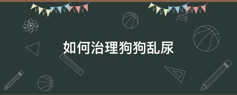 如何治理狗狗乱尿（狗狗乱尿咋办）